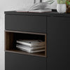 Axton Blauzes Sideboard 2 Door 1 Drawer in Black and Walnut