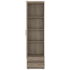 Axton Spuyten Tall 1 Door 2 Drawer Narrow Cabinet in Oak/Champagne